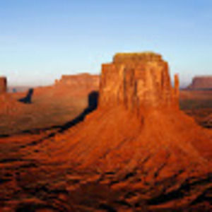 Meet your Posher, Brady